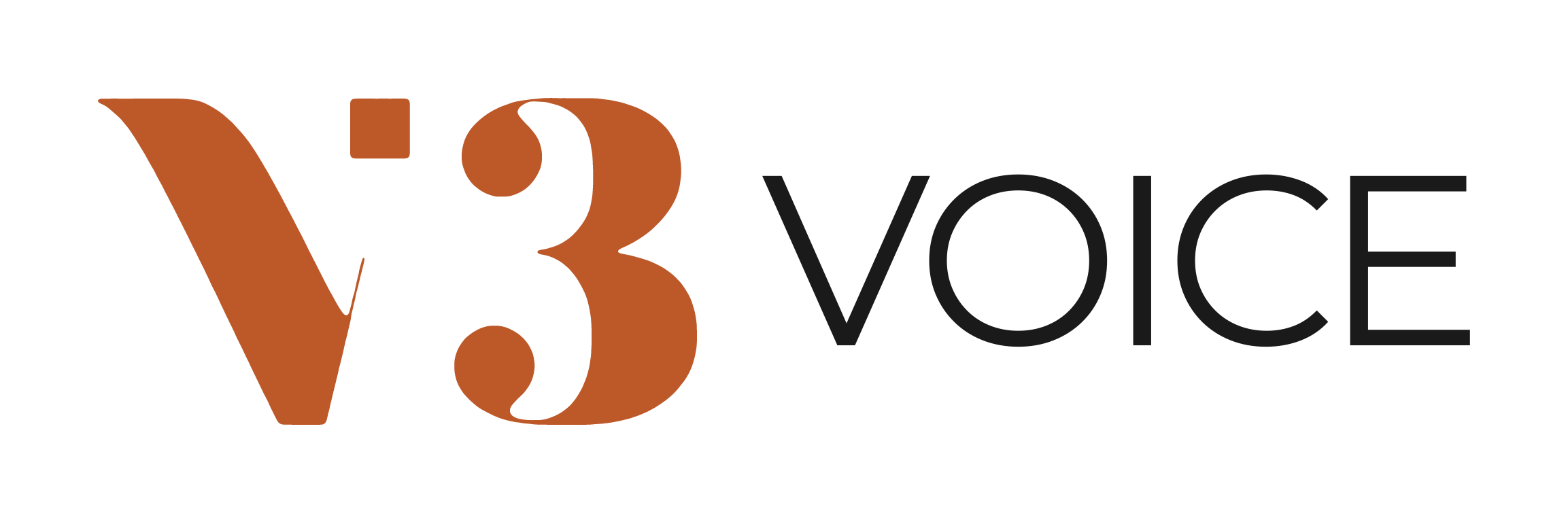 V3 Media Group
